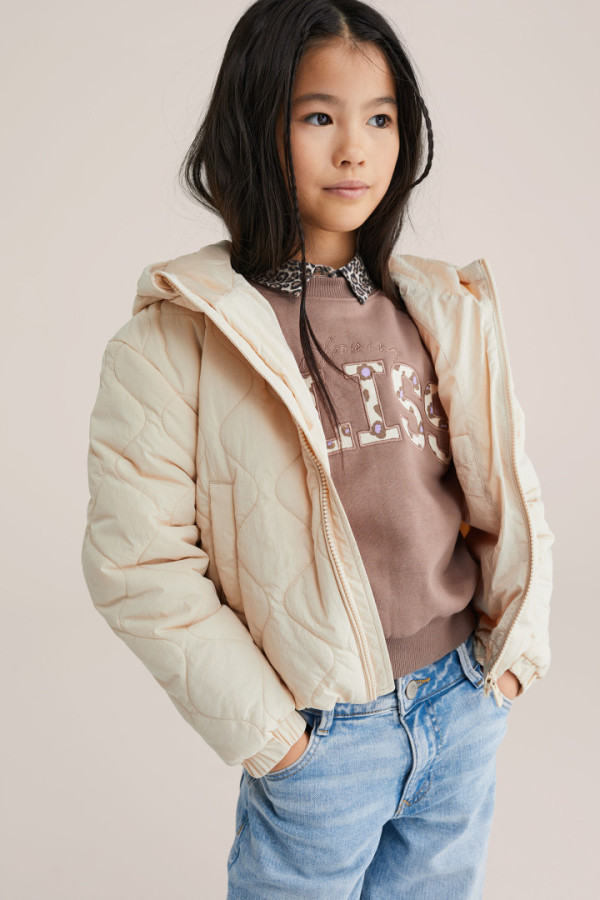 Bullet Models model ID: 17361