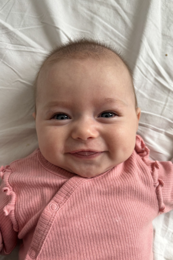 Bullet Models model ID: 20820