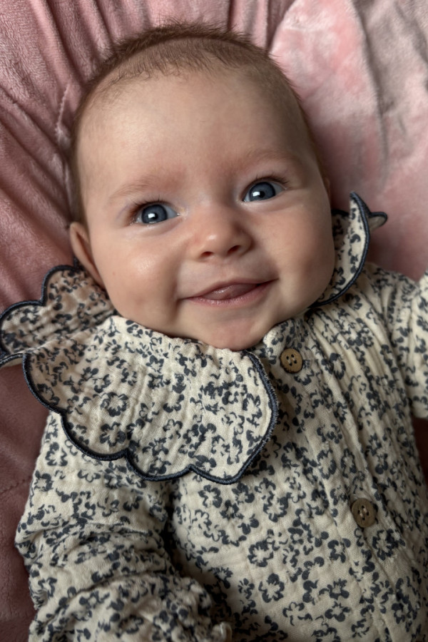 Bullet Models model ID: 20820