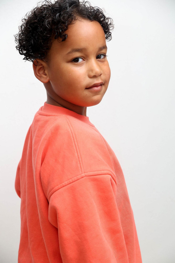 Bullet Models model ID: 18391