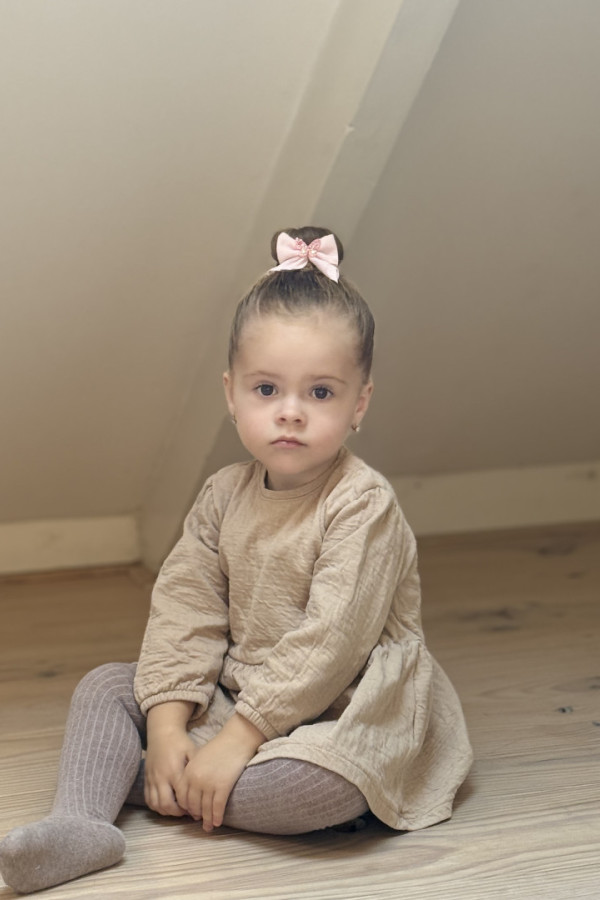 Bullet Models model ID: 20051