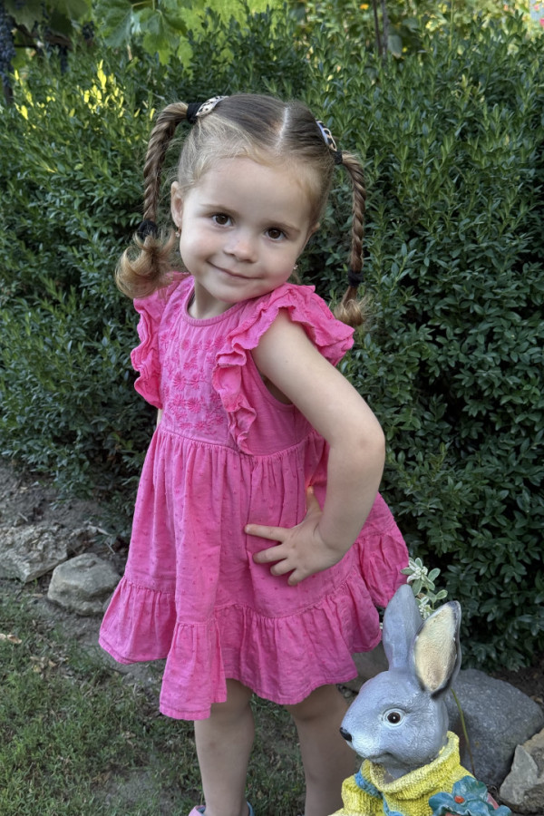 Bullet Models model ID: 20051