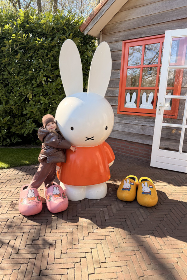 Bullet Models model ID: 20051