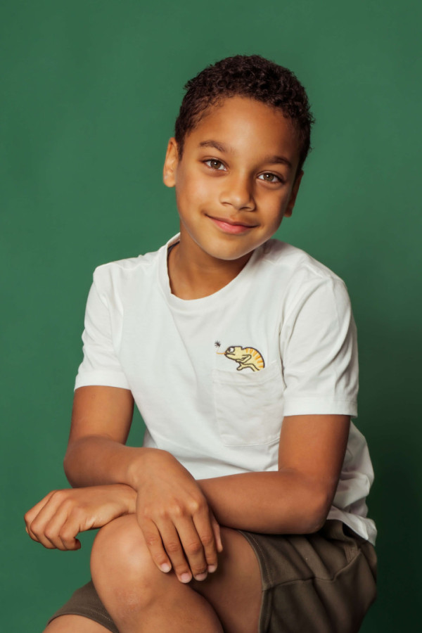 Bullet Models model ID: 20954