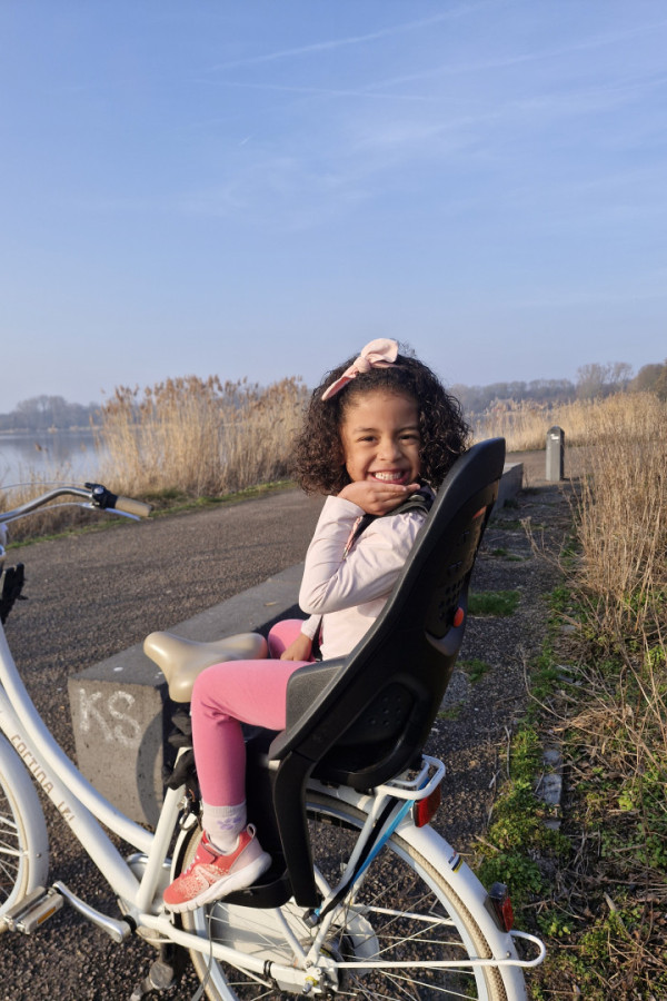 Bullet Models model ID: 17950