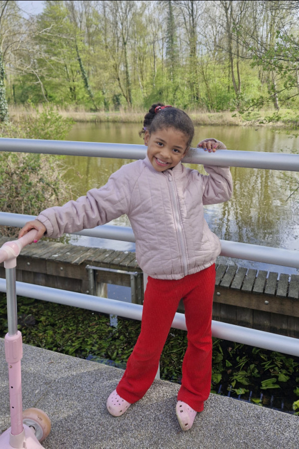 Bullet Models model ID: 17950