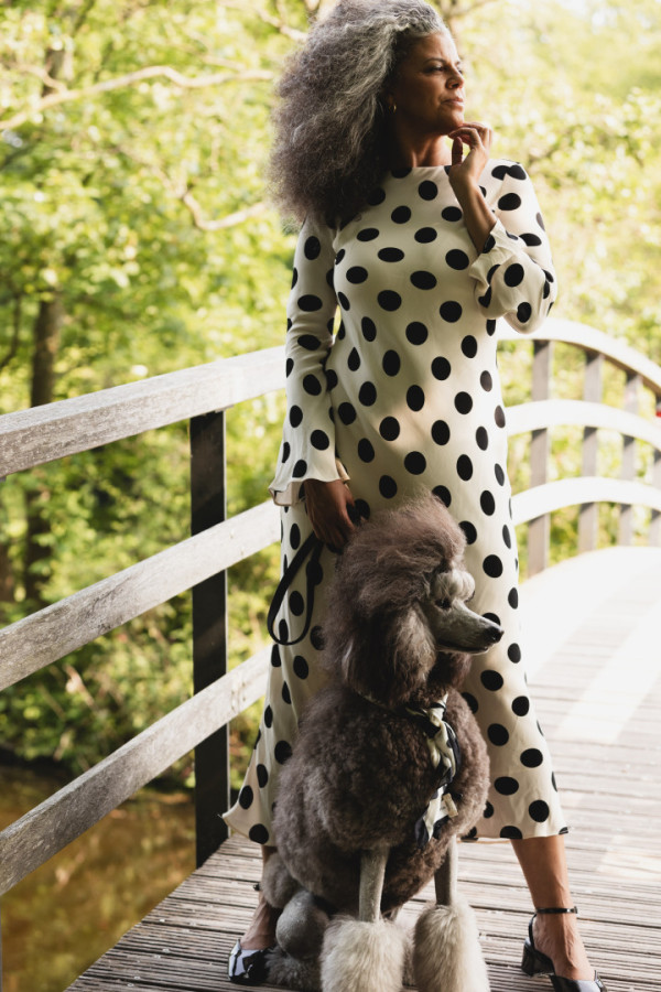 Bullet Models model ID: 20961