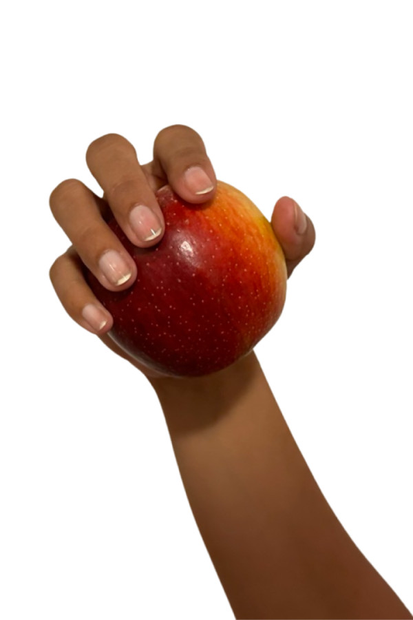 Bullet Models model ID: 16529