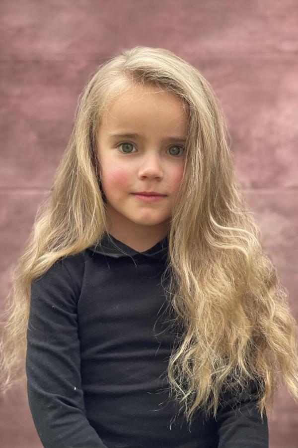 Bullet Models model ID: 20827