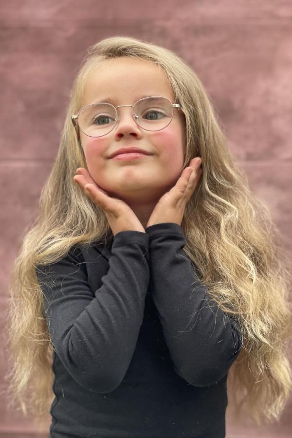 Bullet Models model ID: 20827