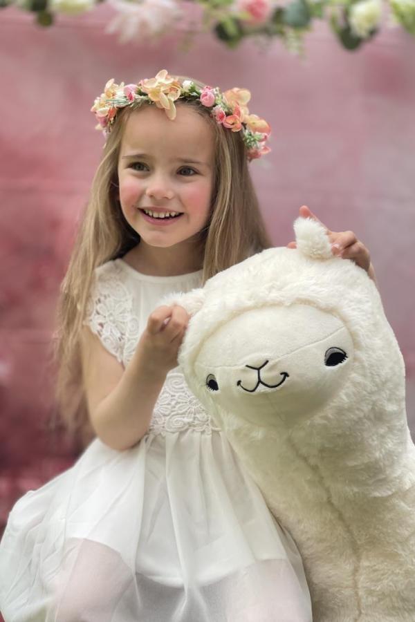 Bullet Models model ID: 20827