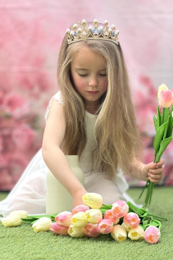 Bullet Models model ID: 20827