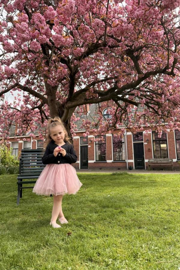 Bullet Models model ID: 20051