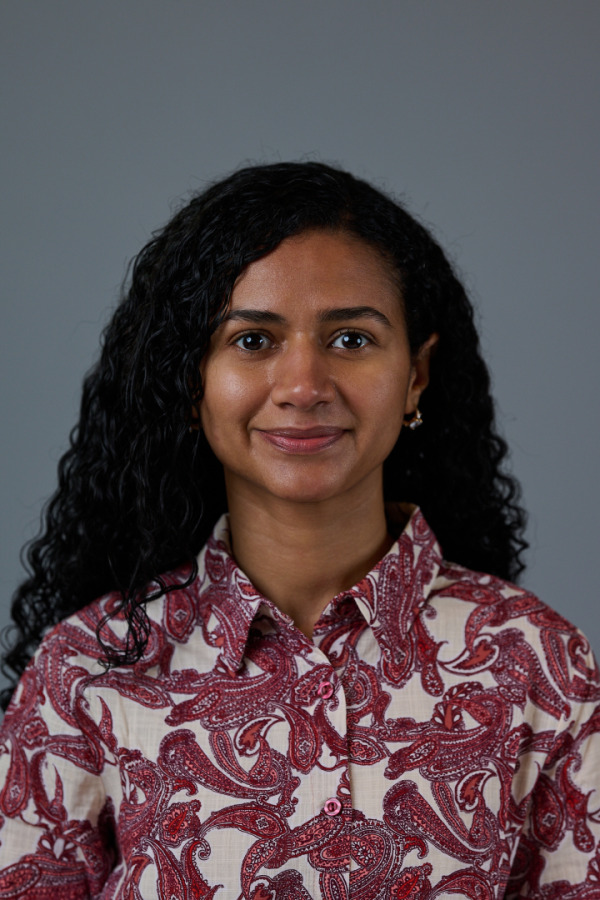 Bullet Models model ID: 20256
