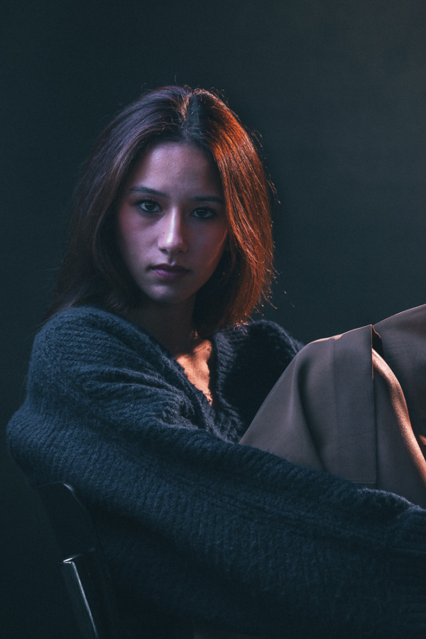 Bullet Models model ID: 8603