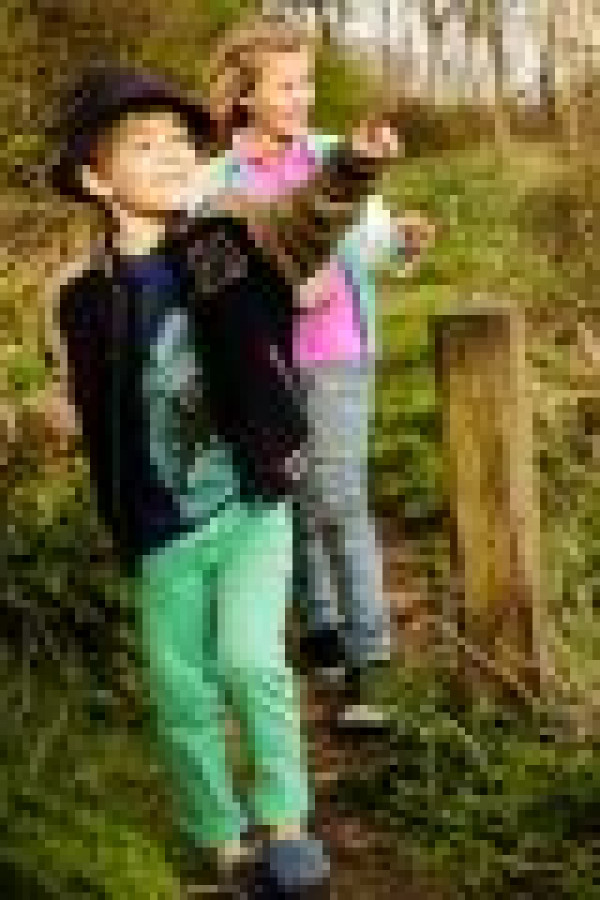 Bullet Models model ID: 1894